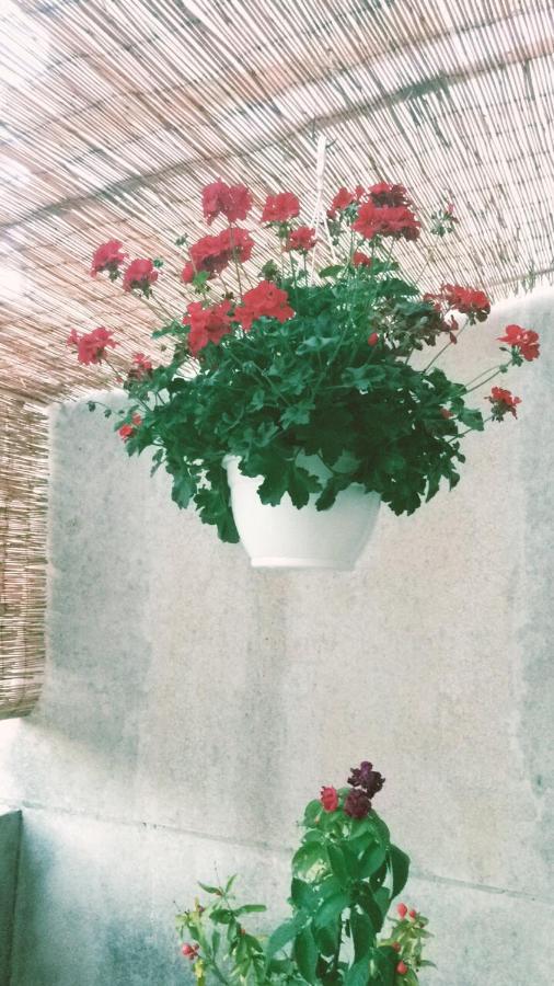 Guest House Darinka Draga Bašćanska Екстериор снимка