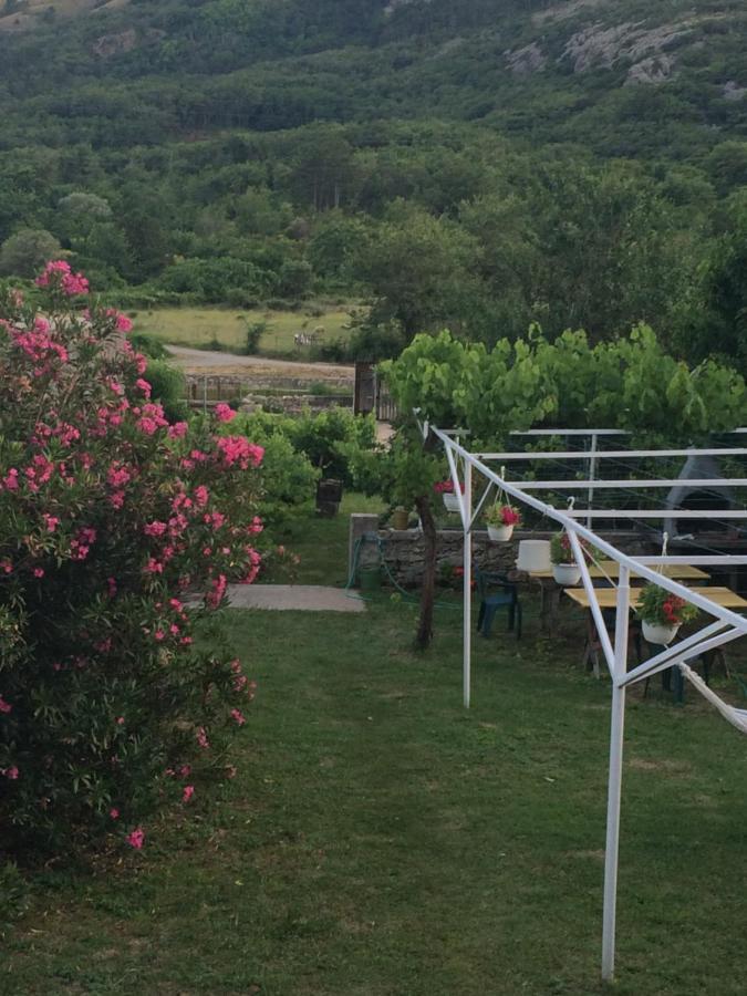 Guest House Darinka Draga Bašćanska Екстериор снимка