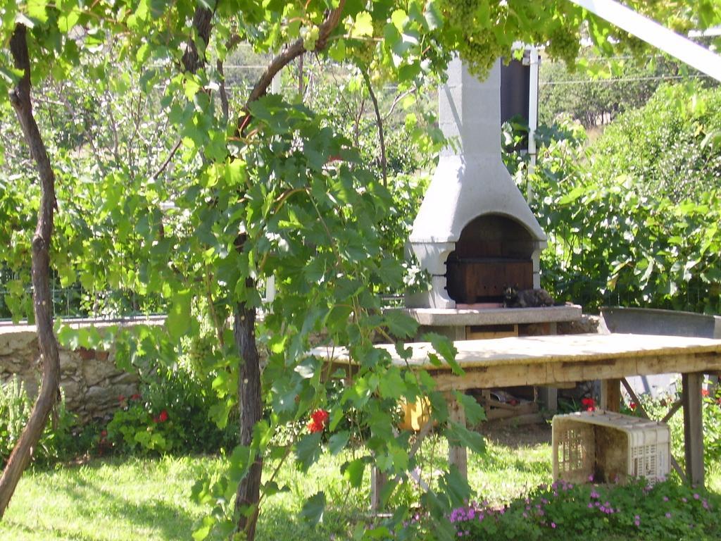 Guest House Darinka Draga Bašćanska Екстериор снимка
