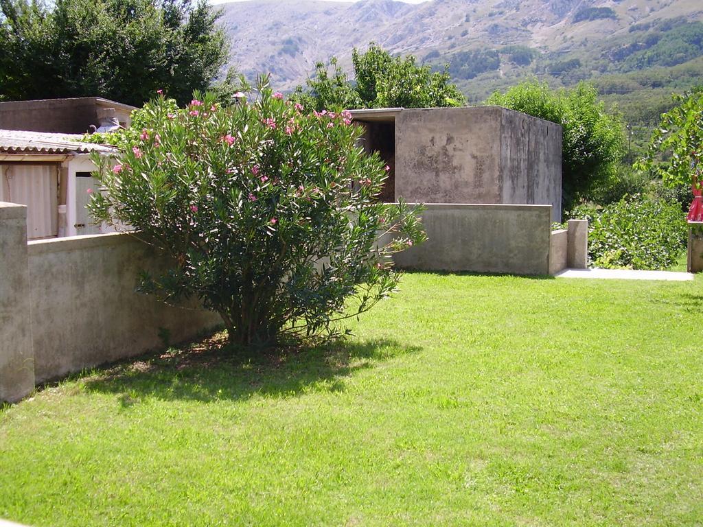 Guest House Darinka Draga Bašćanska Екстериор снимка