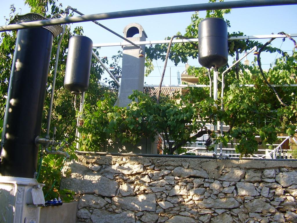 Guest House Darinka Draga Bašćanska Екстериор снимка